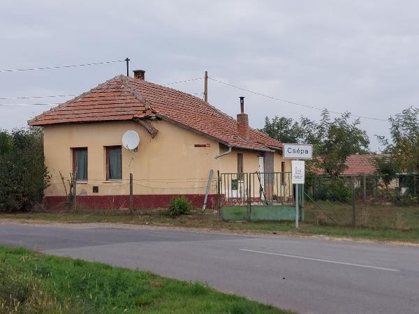 Csépa, Rákóczi utca 1.: lakóház · 300 000 Ft – árverés