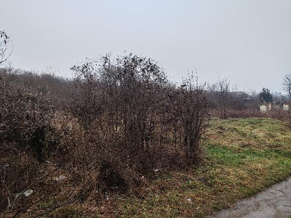 Kálló, Deák Ferenc utca 5: egyéb · 10 500 Ft – árverés