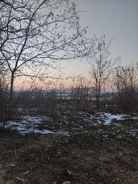 4126 Kismarja, Szélső utca 27.: lakóház · 112 500 Ft – ingatlanárverés