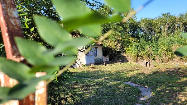 Jászladány, Tisza utca 30: lakóház · 6 000 000 Ft – árverés