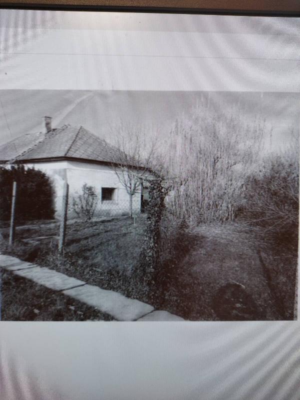 Csépa, Bacsó Béla utca 4.: lakóház · 157 500 Ft – árverés