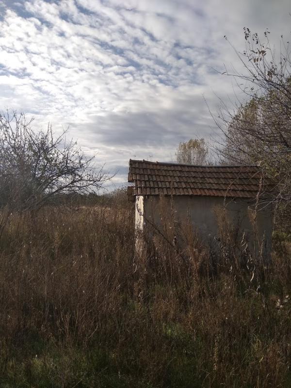 Szelevény, Halesz Dűlő: gazdasági épület · 87 500 Ft – árverés