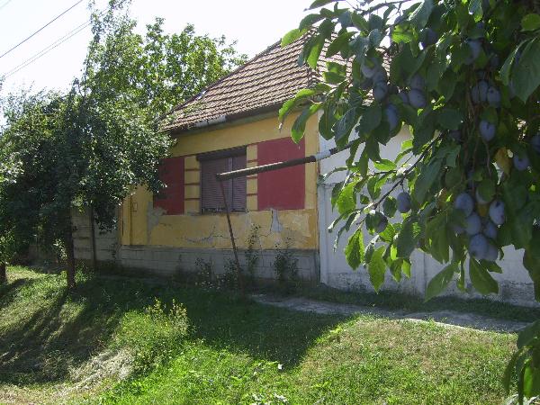 5622 Köröstarcsa, Puskin utca 70.: 253 125 Ft – ingatlanárverés