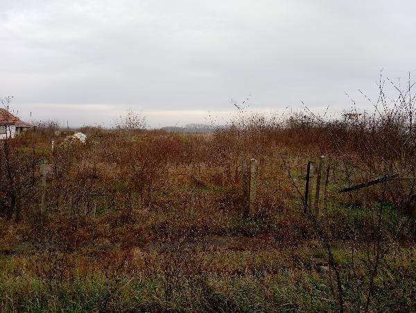 Zsáka, Deák Ferenc utca 77.: 39 712 Ft – árverés