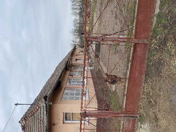 Prügy, Móricz Zs. utca 70: lakóház · 1 250 000 Ft – árverés