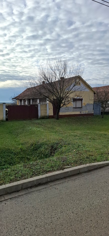 Mezőgyán, Kossuth Lajos utca 52: lakóház · 180 000 Ft – árverés