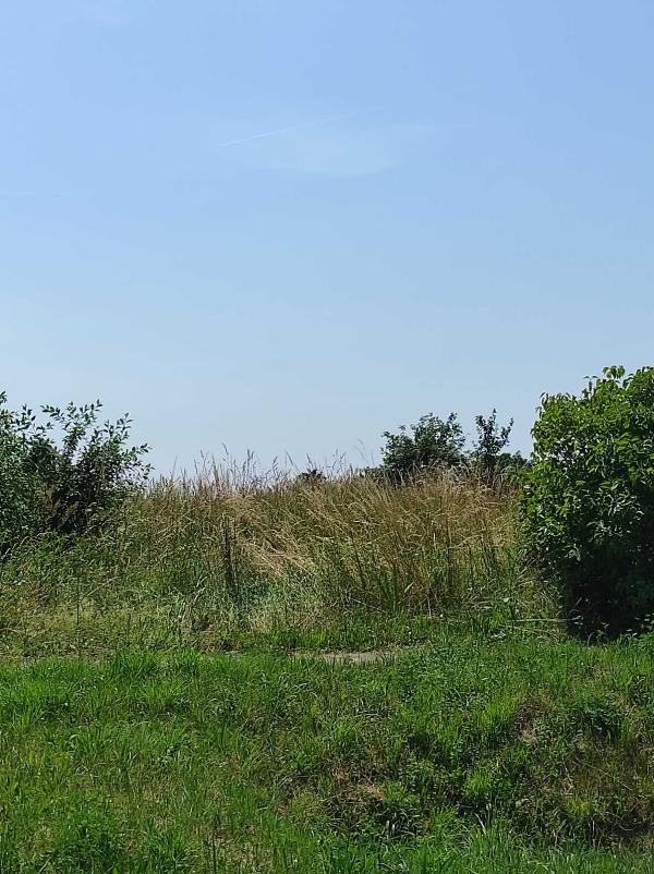 Bolhás, Petőfi Sándor utca 19.: 90 313 Ft – árverés