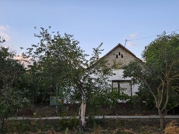 Medgyesegyháza, Bánkút-petőfi utca 19.: lakóház · 175 000 Ft – árverés