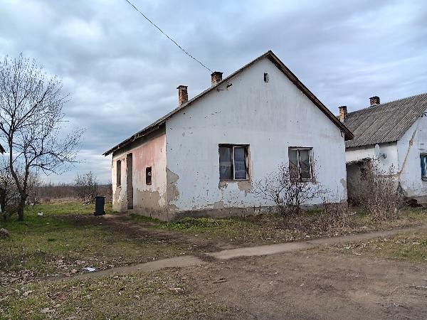Nyírcsaholy, Szegfű utca 15.: lakóház · 140 000 Ft – árverés