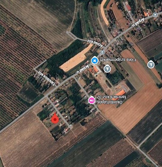 Ököritófülpös, Táncsics Köz 7.
