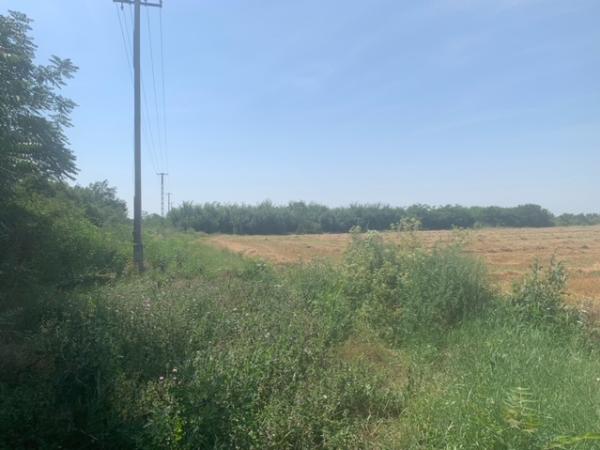 Sarud, Sport utca 18.: 94 950 Ft – árverés