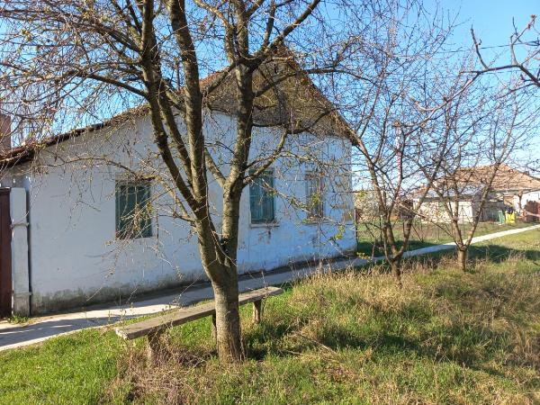 Magyarcsanád, Bánát utca 19.: lakóház · 9524 Ft – árverés