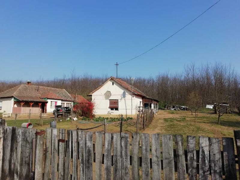4376 Nyírpilis, Károlyi utca 12.: 132 000 Ft – ingatlanárverés