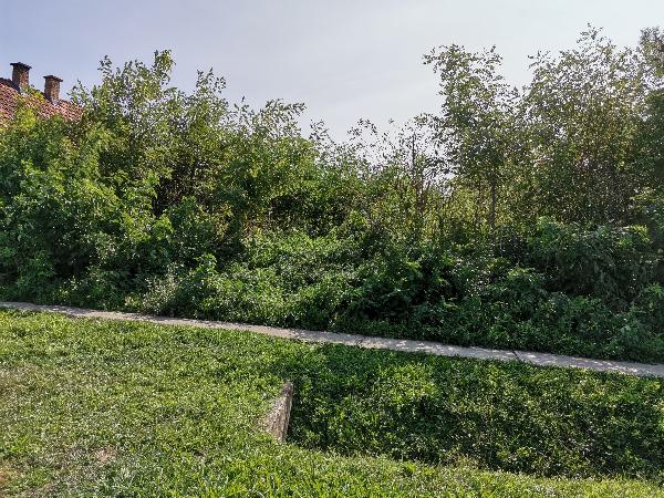 4952 Uszka, Fő utca 104.: lakóház · 35 163 Ft – ingatlanárverés