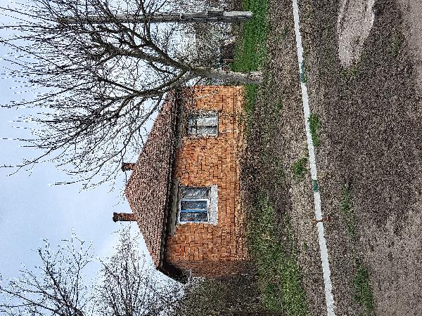 Baks, Ady Endre. utca 35.: lakóház · 29 400 Ft – árverés
