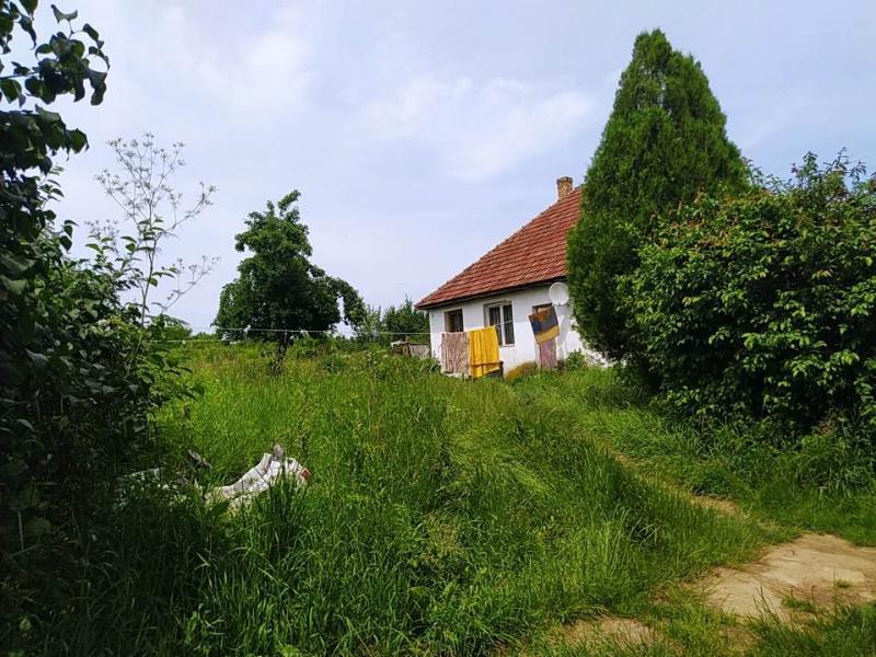 Szamosangyalos, Ady Endre utca 1.: lakóház · 585 550 Ft – árverés