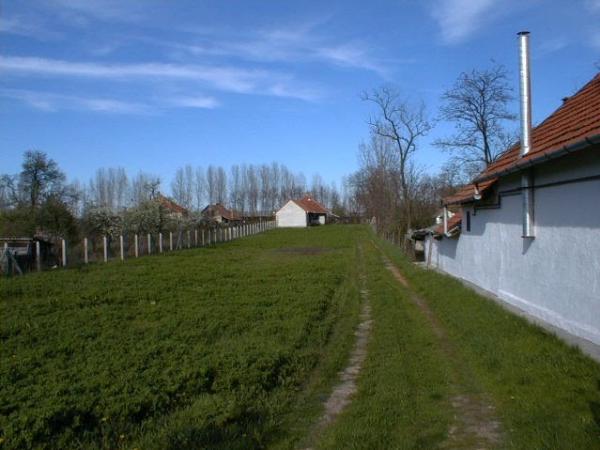 5362 Tiszaörs, Mónus u. 29.: lakóház · 175 000 Ft – ingatlanárverés