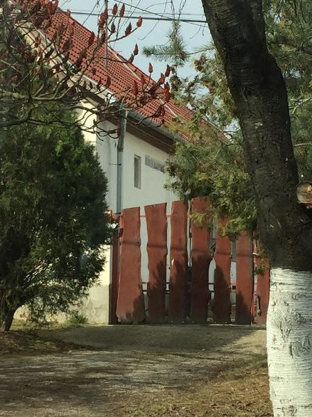 Kosd, Béke utca 46.