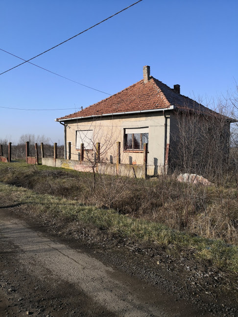 Mezőgyán, Táncsics Mihály utca 32.: lakóház · 300 000 Ft – árverés