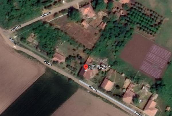 Medgyesegyháza, Sallai utca 35.: lakóház · 70 000 Ft – árverés