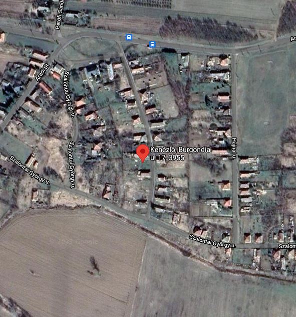 Kenézlő, Burgondia utca 17: lakóház · 150 000 Ft – árverés