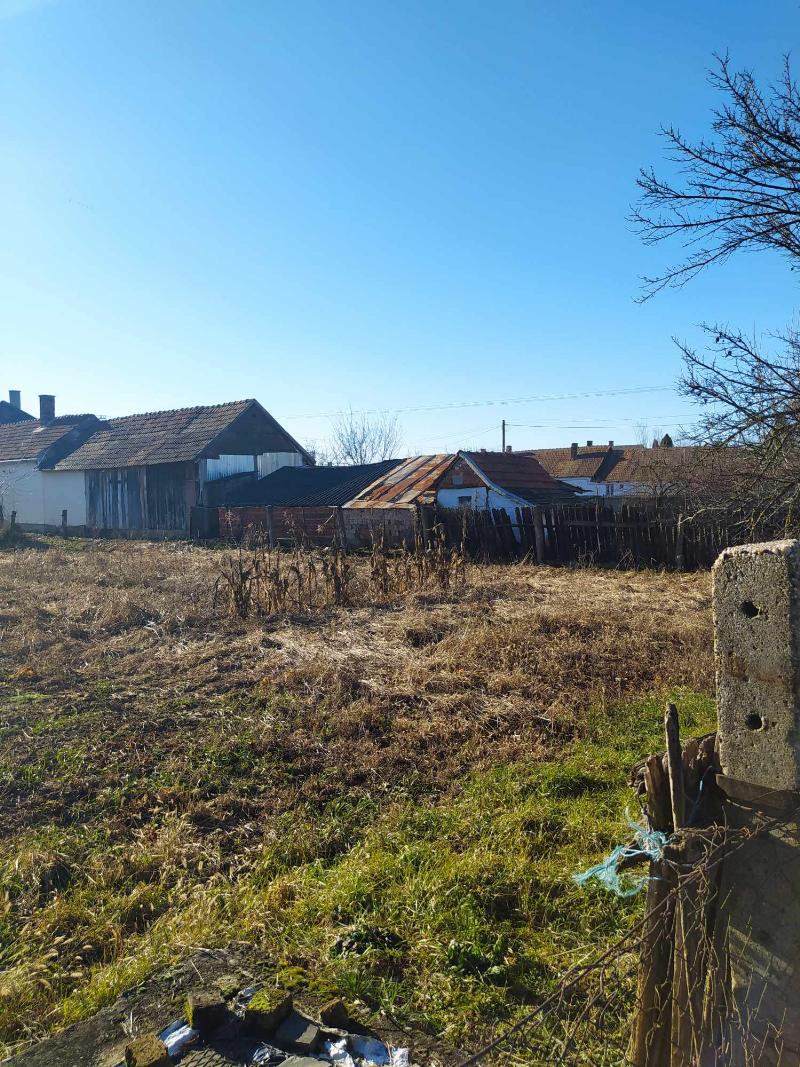 Szamosszeg, Szatmári utca 44/b: 59 500 Ft – árverés