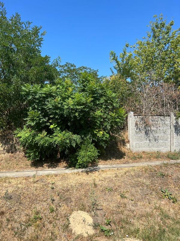 Jászfelsőszentgyörgy, Szőlő utca 19.: lakóház · 122 500 Ft – árverés