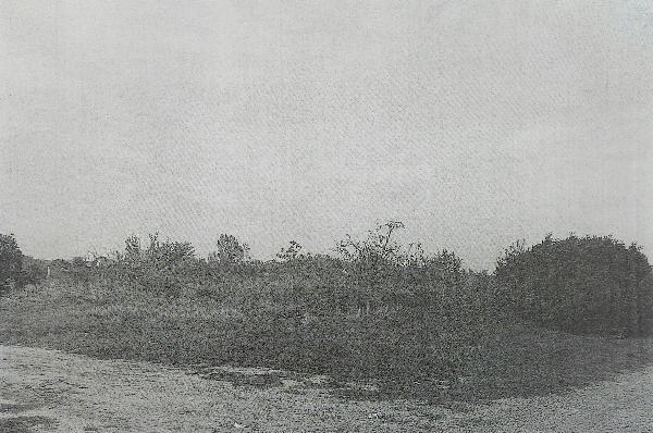 Tiszaeszlár, Munkácsy M. utca 25.: lakóház · 87 188 Ft – árverés