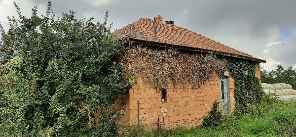 Kiszombor, Táncsics Mihály utca 42: lakóház · 583 333 Ft – árverés