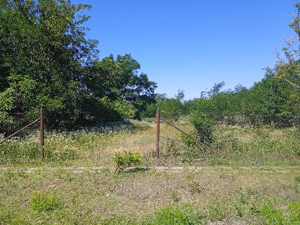 Csanytelek, Nagy Imre utca 23.: 125 000 Ft – árverés
