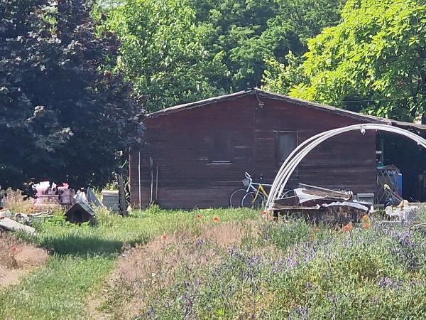 Pilis, Mikszáth Kálmán utca 10: lakóház · 30 000 000 Ft – árverés