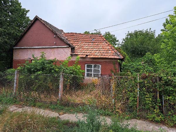 Mezőhegyes, József Attila utca 4.
