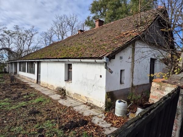Körösladány, Dévaványai út 28.