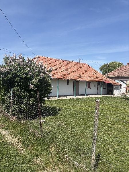 Mezőtárkány, Táncsics út