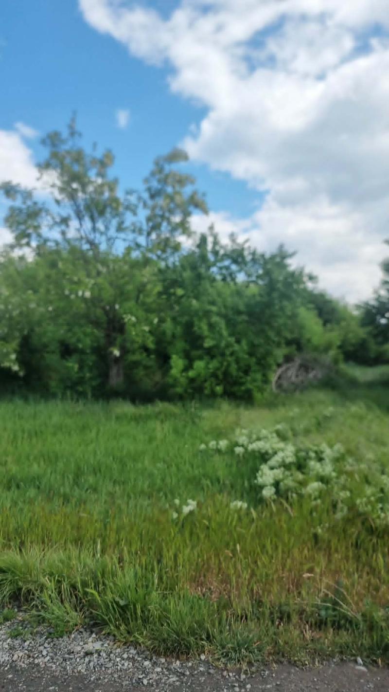 Karcag, Füredi utca 63.: 623 875 Ft – árverés