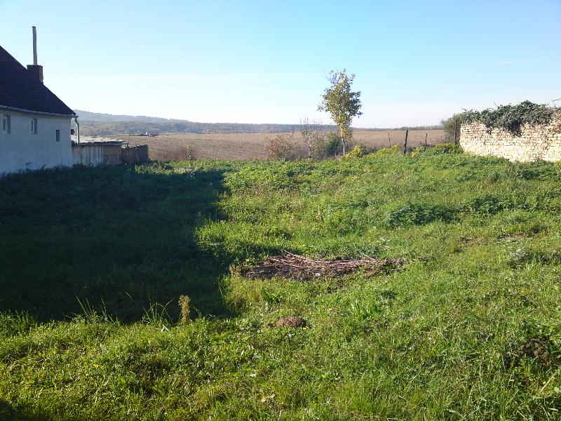 7768 Vokány, Kossuth utca 139.: 363 750 Ft – ingatlanárverés
