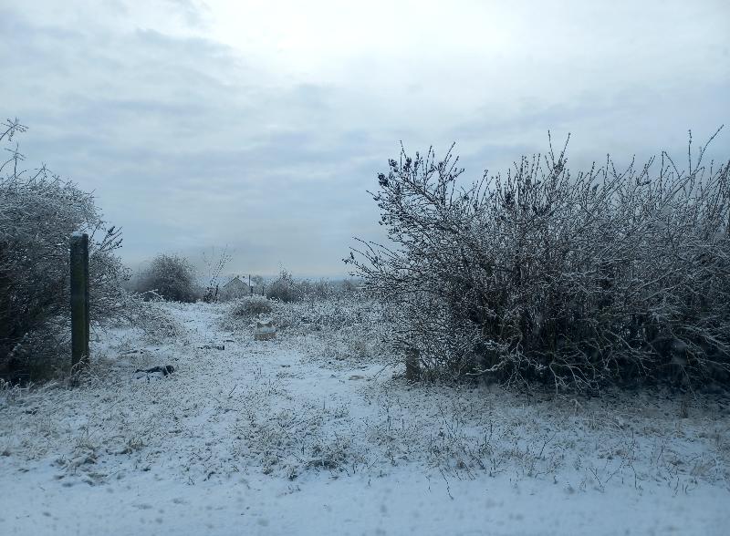 Tiszavasvári, Polgári utca 3.: lakóház · 345 750 Ft – árverés