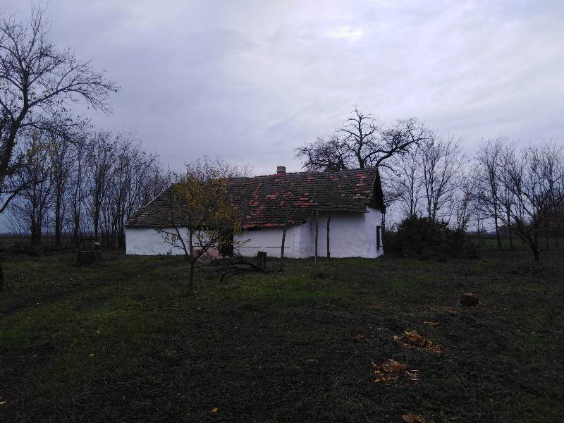 6624 Eperjes, Kiskirályság Tanya 48.: 26 250 Ft – ingatlanárverés
