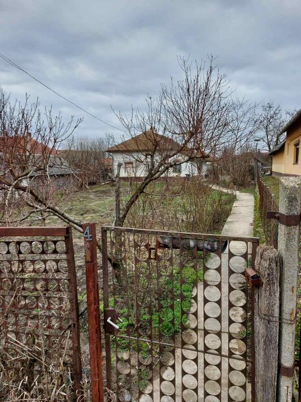 Tiszakürt, Rákóczi Ferenc utca
