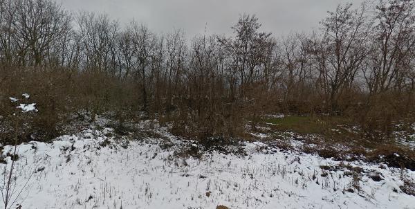 Birján, Az Ingatlan-nyilvántartásban Cím Nem Szerepel: 333 333 Ft
