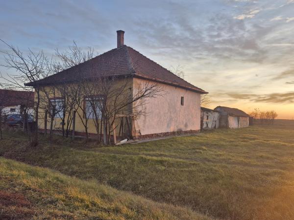 Vésztő, Sziki utca 10.: lakóház · 2 500 000 Ft – árverés