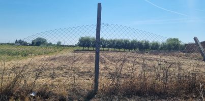 Kemecse, Ady Endre utca 11.: egyéb · 500 000 Ft – árverés