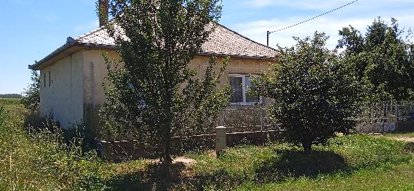 Szamosszeg, Szatmáti utca 133: lakóház · 300 000 Ft – árverés