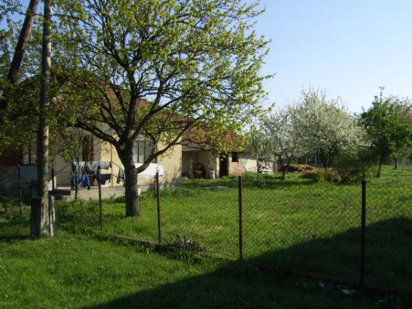 5643 Bélmegyer, Dózsa utca 19.: 2 000 000 Ft – ingatlanárverés