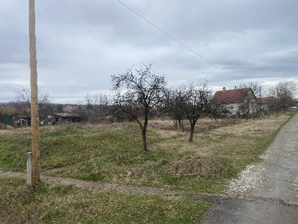 Tiszacsege, Erzsébet utca 13/a: 144 500 Ft – árverés