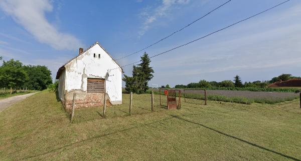 Szőkedencs, Fő utca 171: lakóház · 1 550 000 Ft – árverés