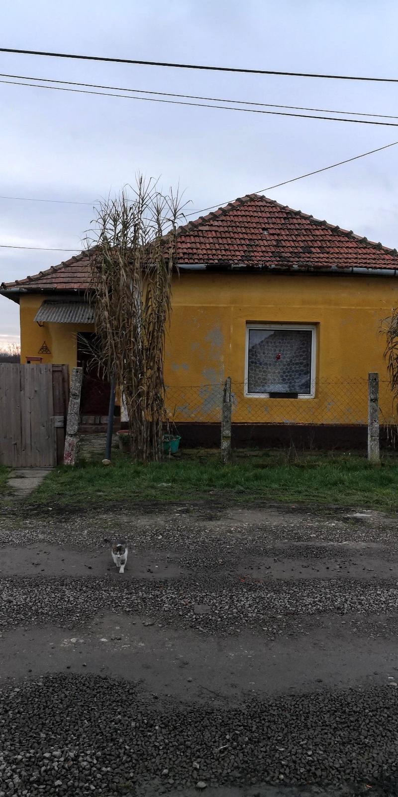 5720 Sarkad, Halász utca 12.: lakóház · 130 000 Ft – ingatlanárverés