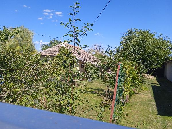 Szegvár, Jókai utca 7: lakóház · 945 000 Ft – árverés
