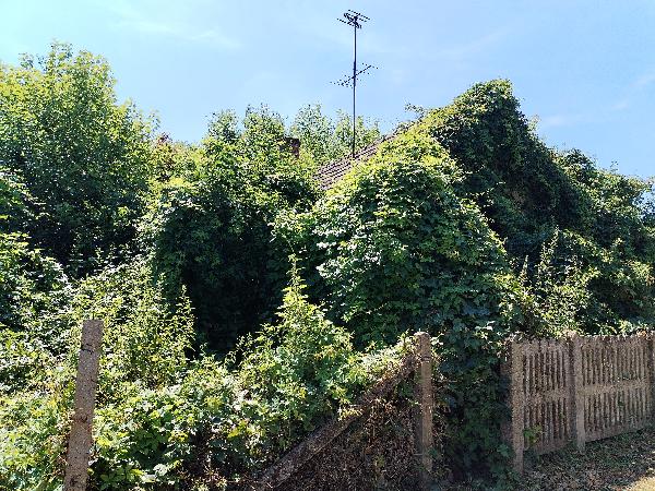 Döbrököz, Öreg-hegy utca