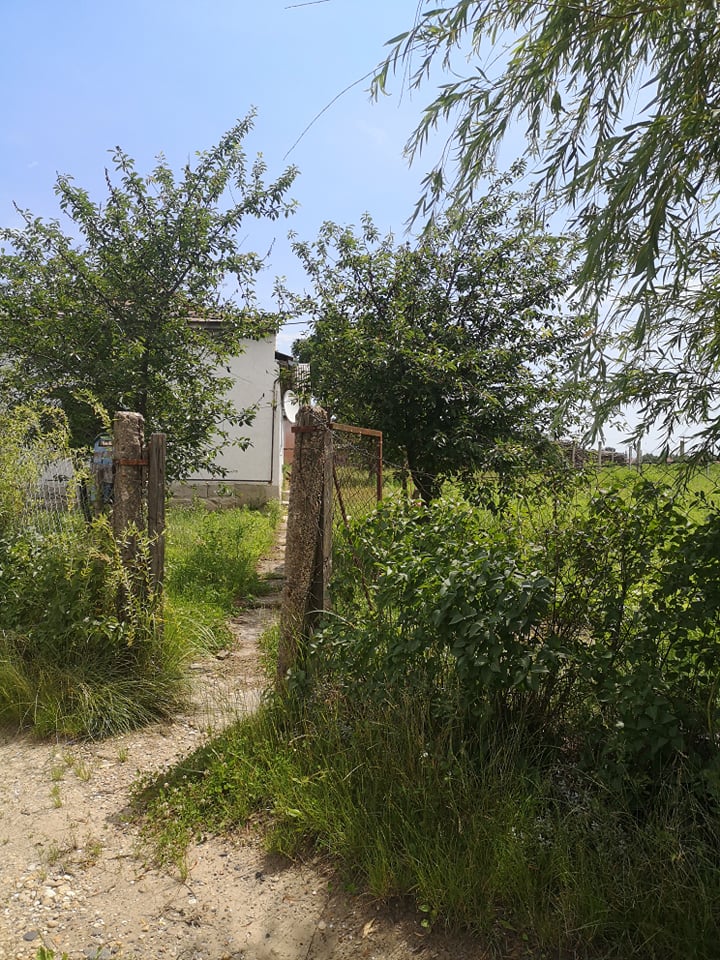 4501 Kemecse, Ady Endre utca 43.: 1 250 000 Ft – ingatlanárverés